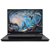 Ноутбук 16" Colorful EVOL X16 PRO 23-HG76B16512H-G-RU-KA черный i7-13700H 16Gb/512Gb RTX4060 W11H (A10205400060)