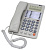 RITMIX RT-495 white