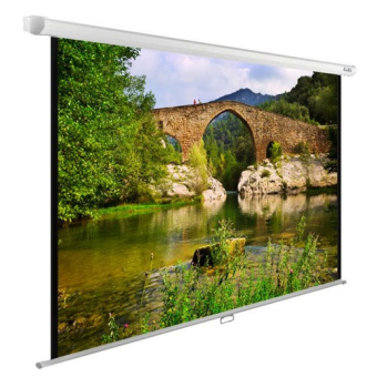 Экран Cactus CS-PSWE-220X165-WT