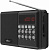 Радиоприемник Ritmix RPR-001 BLACK черный