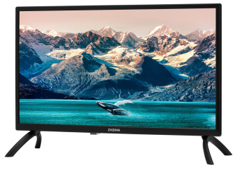 Телевизор LED Digma 24" DM-LED24MBB21 черный/черный HD 60Hz DVB-T DVB-T2 DVB-C DVB-S DVB-S2 USB