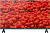 BLACKTON BT 32FS02B HD SMART TV Android Безрамочный