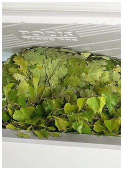 Ларь-морозильник Pozis FH-255