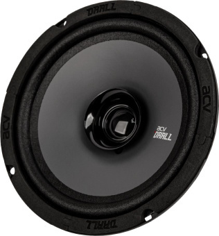 ACV DR6 DRALL эстрадная акустика 6.5"широкополосная