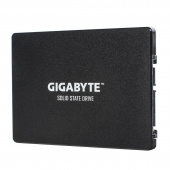 GIGABYTE SSD 256Gb (GP-GSTFS31256GTND)