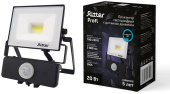 RITTER 53420 8 PROFI 20 Вт 6500К с датчиком движения черный