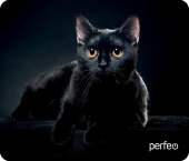 PERFEO (PF_D0665) "Cat"