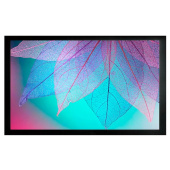 Экран Cactus CS-PSFRE-220X124