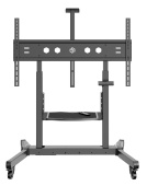 Стойка для телевизора Onkron TS1991 eLift черный 50"-100" макс.10кг напольный наклон