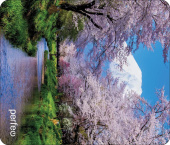 PERFEO (PF_D0687) "Времена года" "Весна"