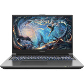 Ноутбук 15.6" Colorful EVOL X15 AT 23H1-HD55D16512A-G-RU-KA серый i5-12450H 16Gb/512Gb RTX4060 W11 (A10205400042)