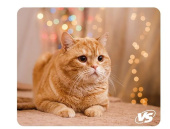 VS (VS_B4652) "Cat", Рис.8