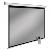 Экран Cactus CS-PSSME-280X175-DG