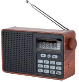 PERFEO (PF_D0574) ALPINIST , коричневый