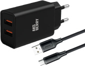 AKSBERRY (6900209230014) T38 2 USB 2.4A + кабель Type C, черный