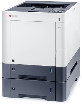 Принтер лазерный Kyocera Ecosys P6230cdn (1102TV3NL1) A4 Duplex Net