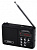 Радиоприёмник PERFEO SOUND RANGER PF-SV922 черный