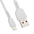 HOCO X20 USB-8 Pin 2.0A 2.0m белый