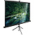 Экран Cactus CS-PSTE-220X165-BK
