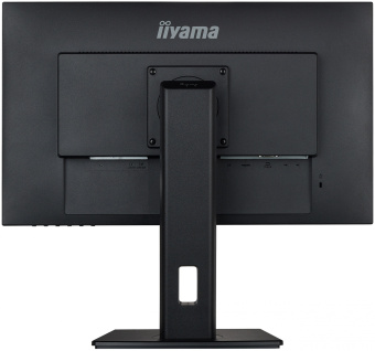 Монитор Iiyama 23.8" ProLite XUB2492HSN-B5 черный IPS LED 16:9 HDMI M/M матовая HAS Piv 250cd 178гр/178гр 1920x1080 75Hz DP FHD USB 5.6кг