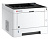 Принтер лазерный Kyocera Ecosys P2040DW (1102RY3NL0) A4 Duplex Net WiFi