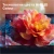 Телевизор  HISENSE 85E7S черный