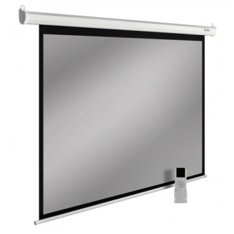 Экран Cactus CS-PSSME-220X138-DG