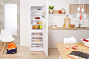 Холодильник Indesit DS 4160 W
