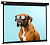 Экран Cactus 183x244см Wallscreen CS-PSW-183X244-BK 4:3 настенно-потолочный рулонный черный
