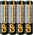 GP (10887) 24PLEBRA-2S4 (AA)