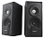 SMARTBUY (SBA-4200) GIG 20 Вт, корпус МДФ черный