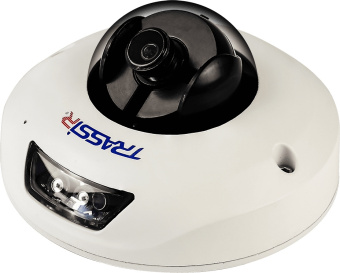 Камера видеонаблюдения IP Trassir TR-D4121IR1 3.6-3.6мм цв. корп.:белый (TR-D4121IR1 (3.6 MM))