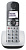 Р/Телефон Dect Panasonic KX-TGE510RUS серебристый АОН