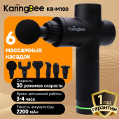 KARINGBEE KB-M100
